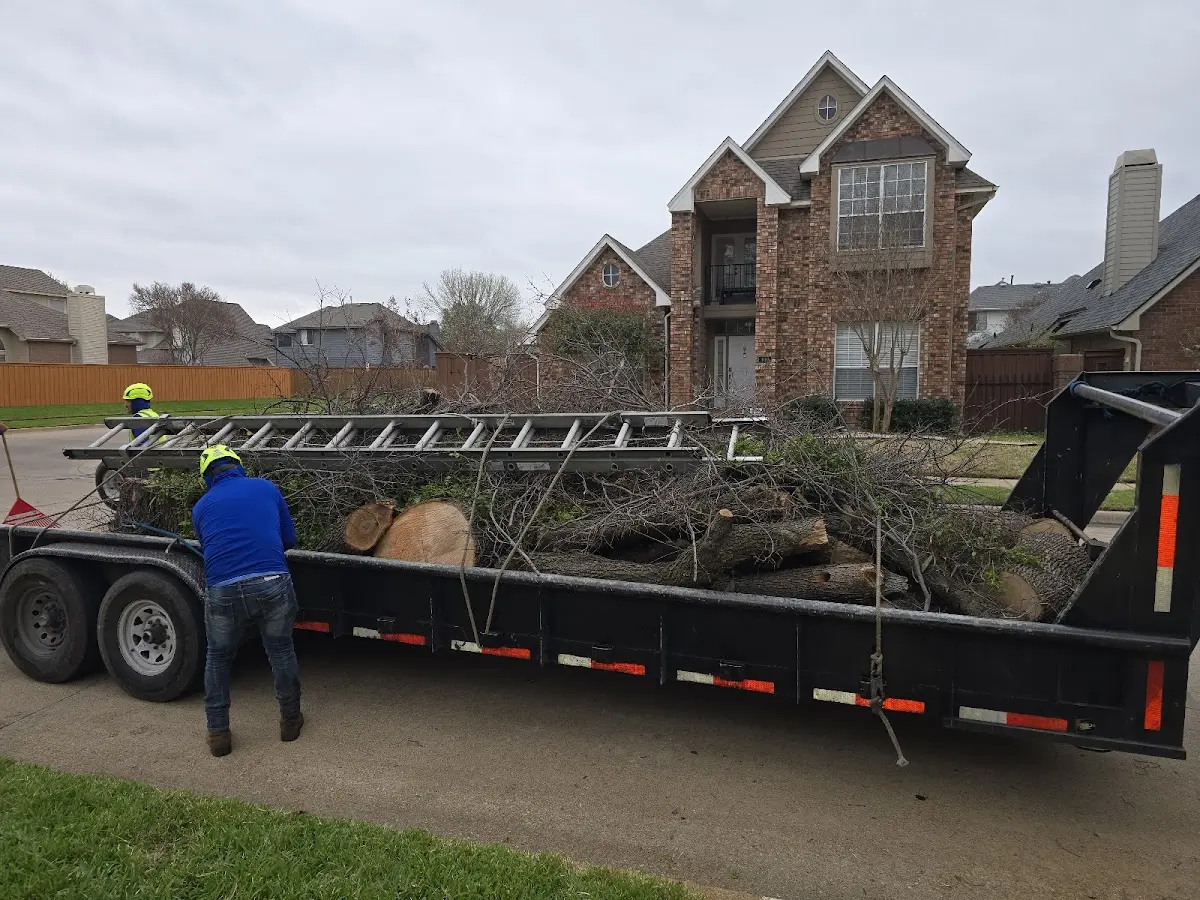 Expert Tree Pest Control with proper safety equipment in New Kent